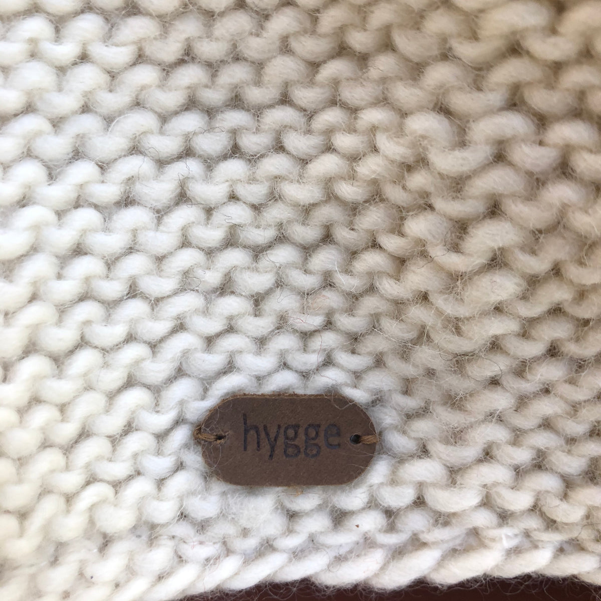 Polar Bear Hoody