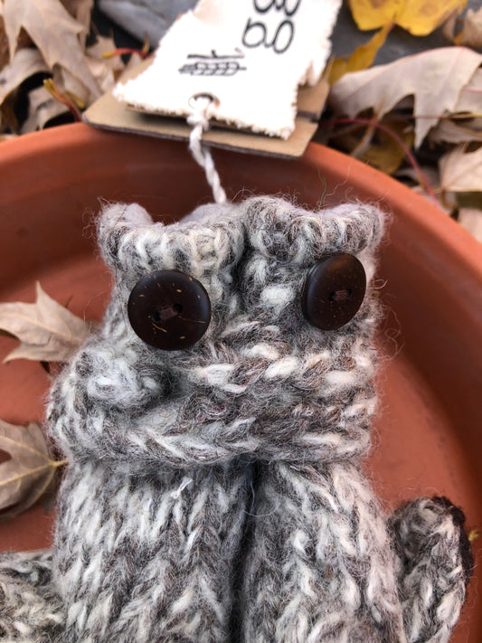 Raccoon Mittens