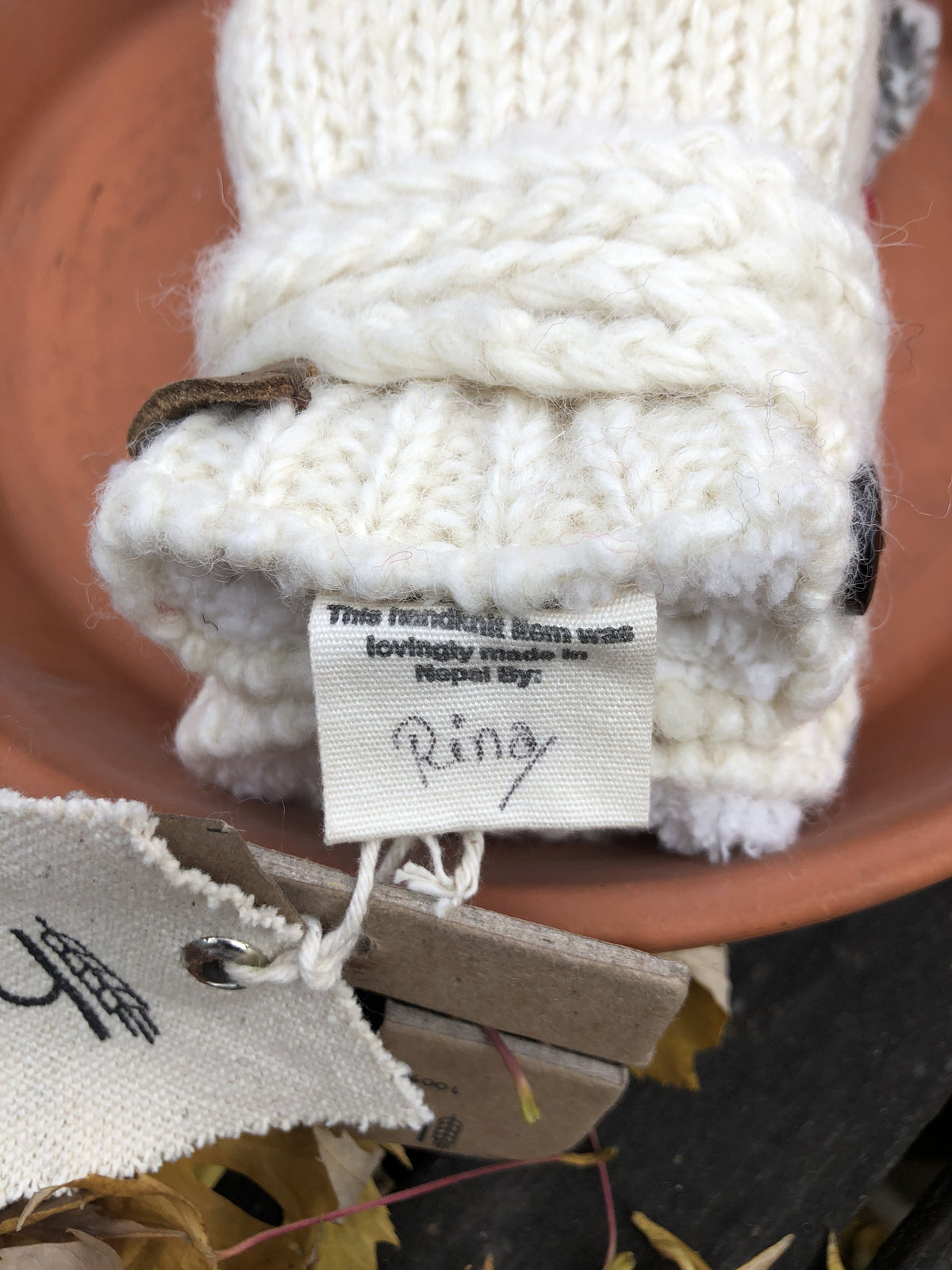 Raccoon Mittens