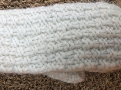 Aiden Mittens
