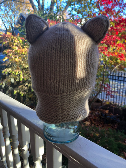 Polar Bear Hoody