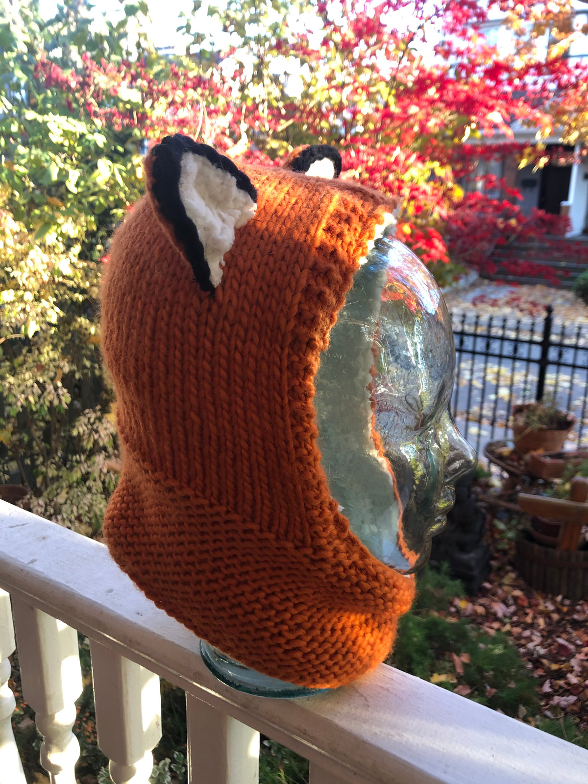 Fox Hoody