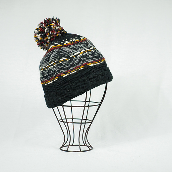 Raphael Beanie