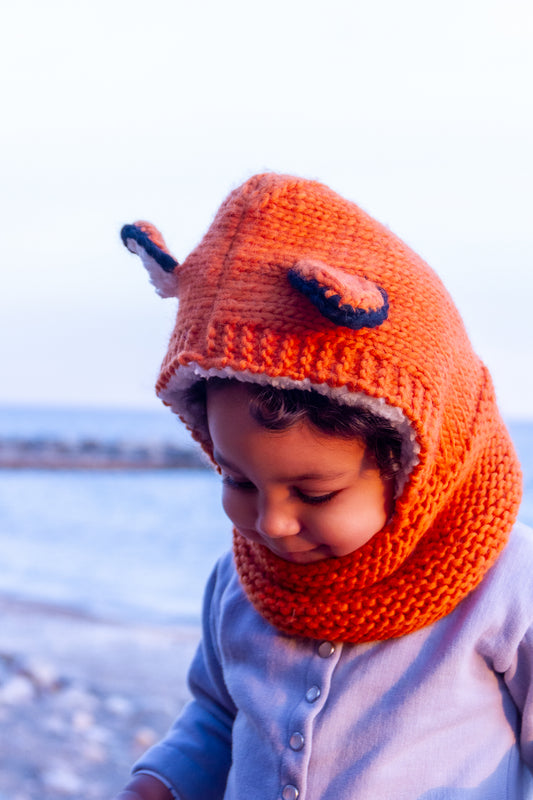 Fox Hoody