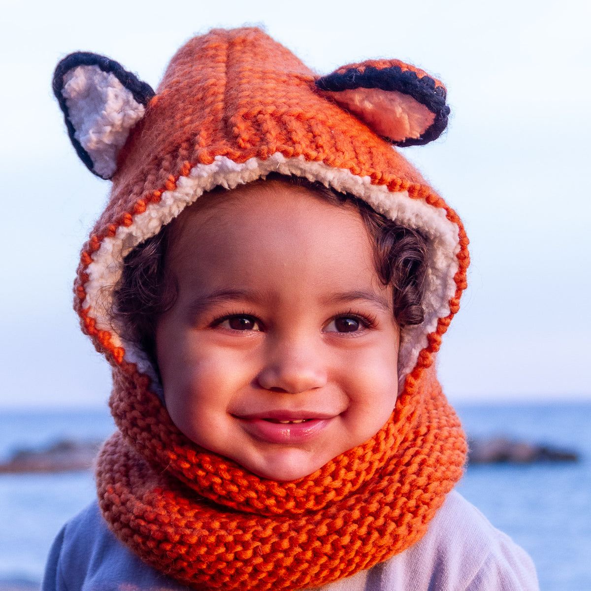 Fox Hoody