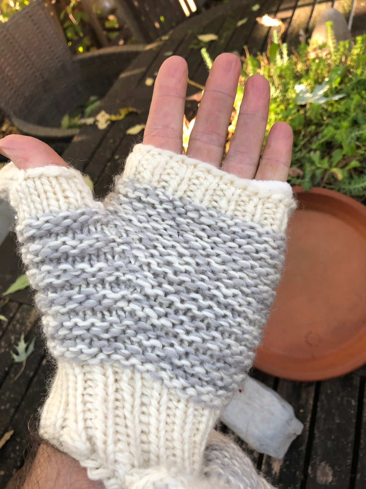 Europe Covered Texting Mittens