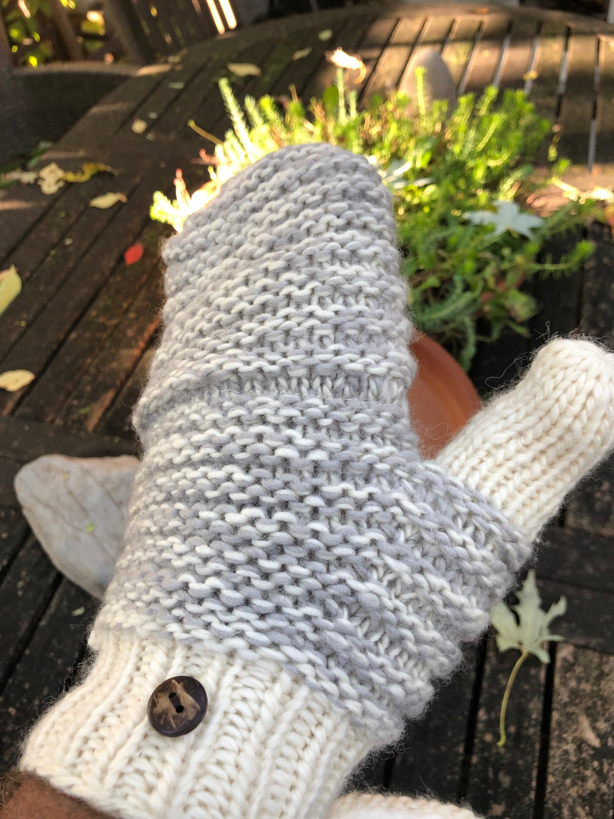 Europe Covered Texting Mittens