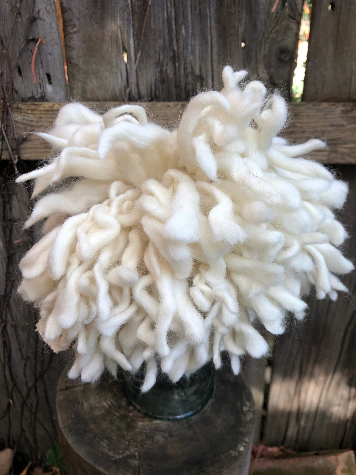 Vail Pom Pom Beanie