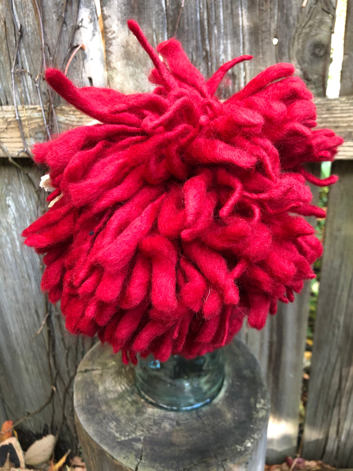 Vail Pom Pom Beanie
